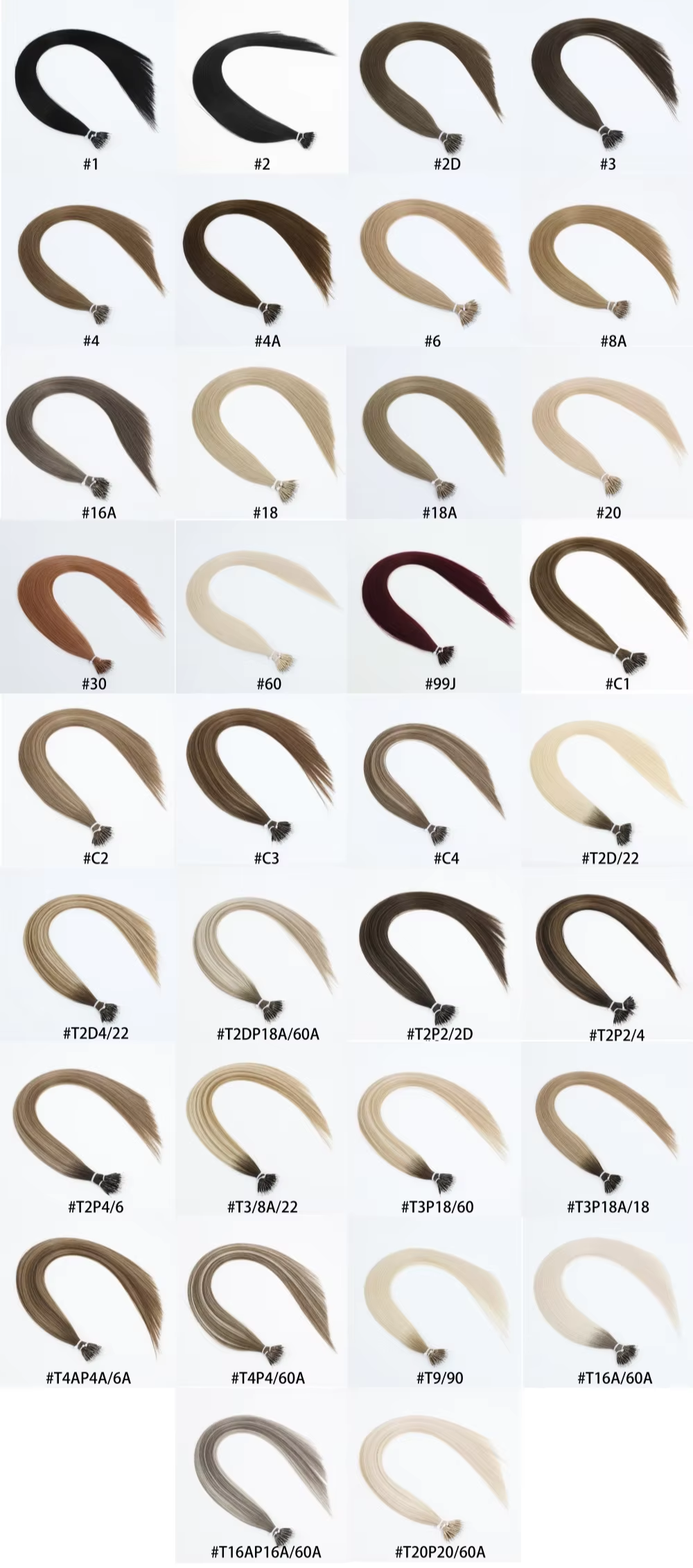 Color Rings' catalog.jpg